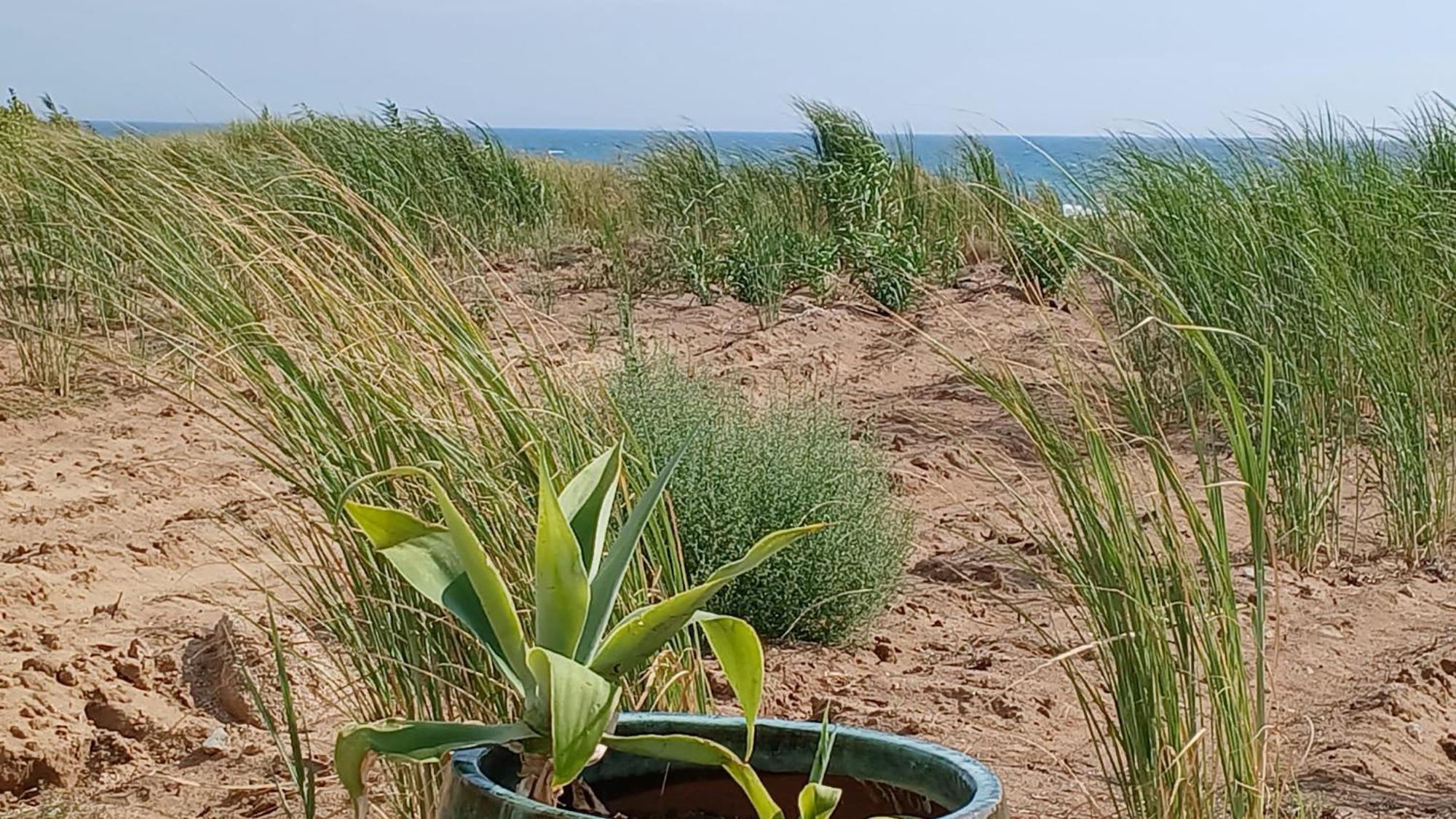 הוילה מנפי Fin Fiori מראה חיצוני תמונה