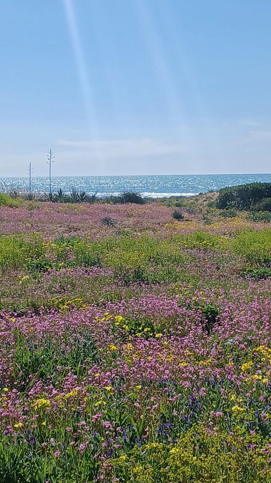 הוילה מנפי Fin Fiori מראה חיצוני תמונה